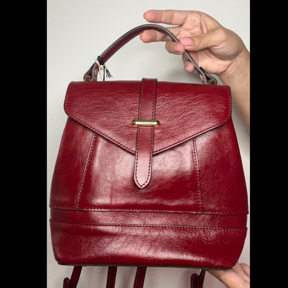 Divina Firenze Purse